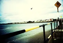wallcoo com lomo lomography seagul in sky 1680x1050 wallpaper Art HD Wallpaper
